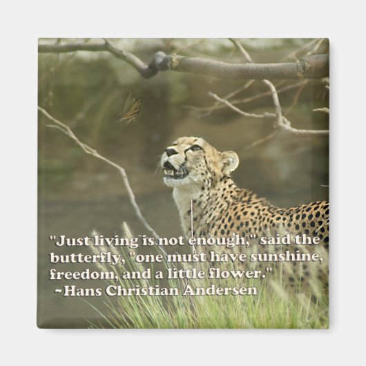 チーターと蝶 マグネット (正面)