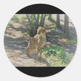 チーターのシール ラウンドシール