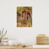 チーターのポスター ポスター (キッチン)