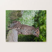 チーターの写真パズル ジグソーパズル (横)