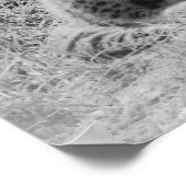 チーターの子 ポスター (角)