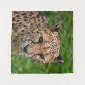 チーターの強烈な視線 タペストリー (正面(横))