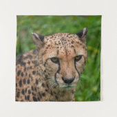 チーターの強烈な視線 タペストリー (正面)