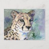 チーターの肖像 ACEO ポストカード (正面)