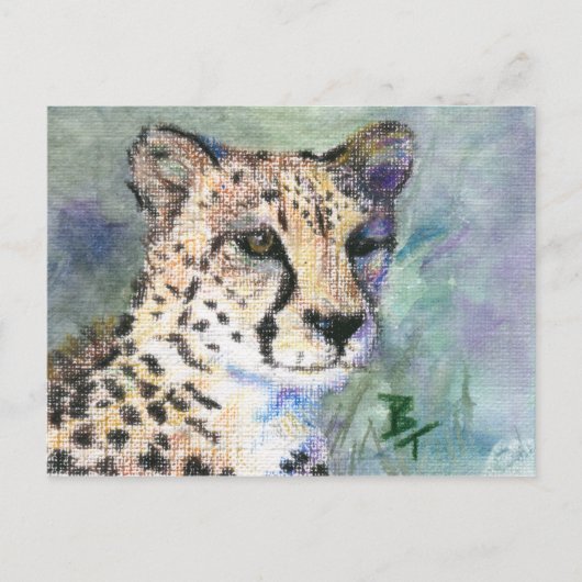 チーターの肖像 ACEO ポストカード (正面)