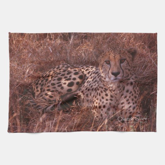 チーターの視線 キッチンタオル (横)