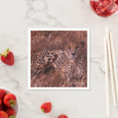 チーターの視線 スタンダードカクテルナプキン (インサイチュ)