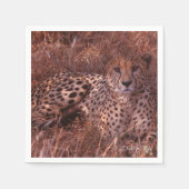 チーターの視線 スタンダードカクテルナプキン (正面)