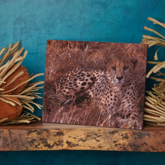 チーターの視線 フォトプラーク (側面)