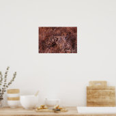 チーターの視線 ポスター (キッチン)