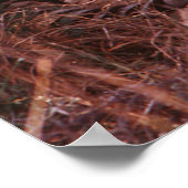 チーターの視線 ポスター (角)