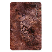 チーターの視線 マグネット (縦)