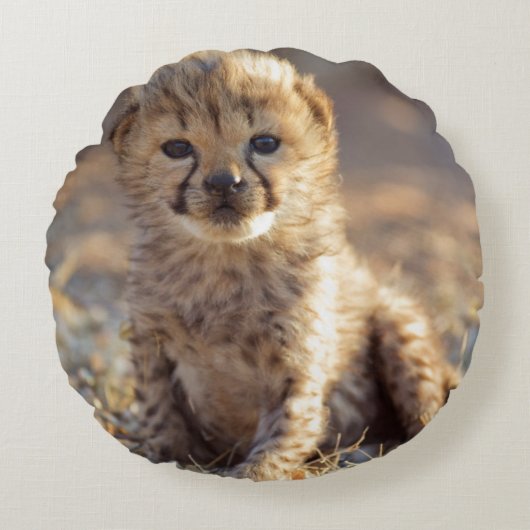 チーターの雄の子猫、生後19日 ラウンドクッション (正面)