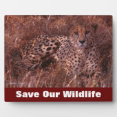 チーターは私たちの救野生動物を見る フォトプラーク (正面)