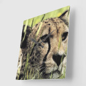 「チーターを隠す」 スクエア壁時計 (傾斜)