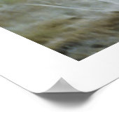 チーターキス野生動物ポスター ポスター (角)