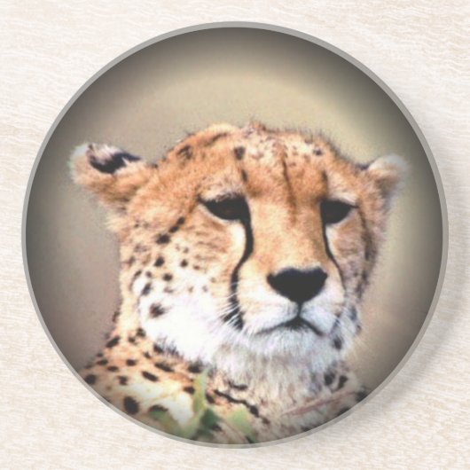 チータースティーマークハクナマタタ コースター (正面)