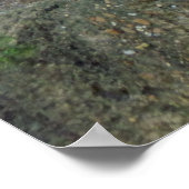 チータープリント/ポスター ポスター (角)