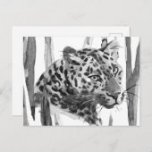 チーターポートレート ポストカード (正面/裏面)