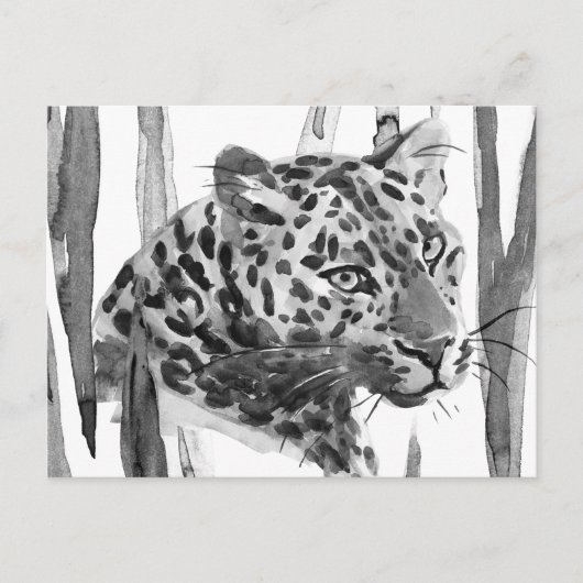 チーターポートレート ポストカード (正面)