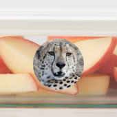 チーターポートレート ラベル (貼付)