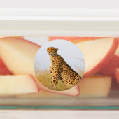 チーターポートレート ラベル (貼付)