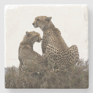 チーターママとカッブストーンコースター ストーンコースター