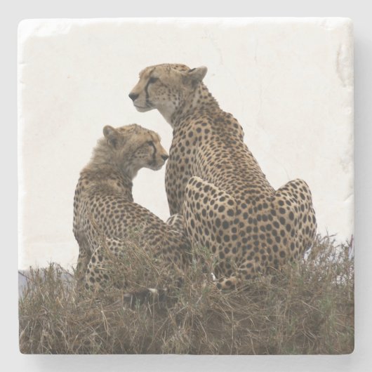 チーターママとカッブストーンコースター ストーンコースター (正面)