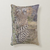 チーター写真枕 アクセントクッション (正面(垂直))