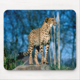 チーター動物 マウスパッド