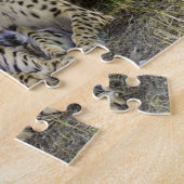 チーター大きなネコ科の動物. ジグソーパズル (側面)
