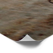 チーター愛 ポスター (角)