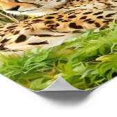 チーター族 – 野生で休む» ポスター (角)