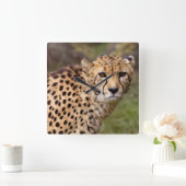 チーター時計 スクエア壁時計 (ホーム)