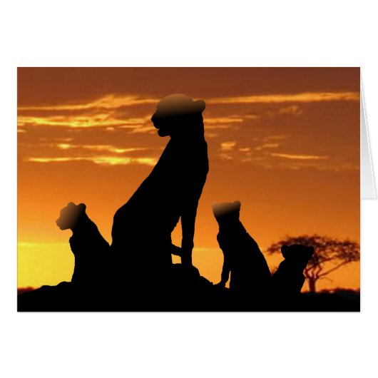 チーター科 (正面横)