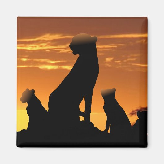 チーター科 マグネット (正面)