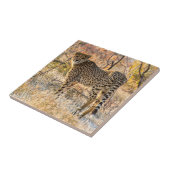 チーター見のまわりにた タイル (側面)