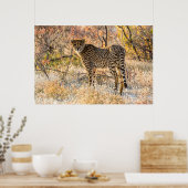 チーター見のまわりにた ポスター (キッチン)