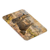 チーター見のまわりにた マグネット (右側)