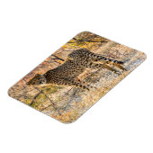 チーター見のまわりにた マグネット (左側)