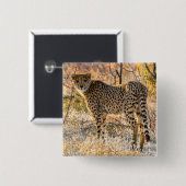 チーター見のまわりにた 缶バッジ (正面&裏面)