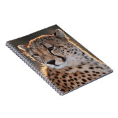 チーター見遠くにた ノートブック (右側)