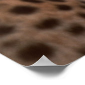 チーター見遠くにた ポスター (角)