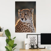 チーター見遠くにた ポスター (ホームオフィス)