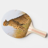 チーター野生動物大きな猫 卓球ラケット (横)