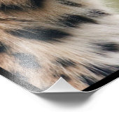 チーター顔 フォトプリント            (角)