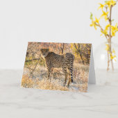 チーター風のまわりにの カード (黄色い花)
