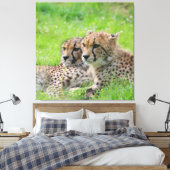 チーター001 キャンバスプリント (インサイチュ (寝室))