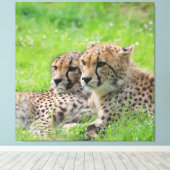 チーター001 キャンバスプリント (インサイチュ (ウッドフロア))