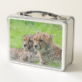 チーター001 メタルランチボックス (裏面)